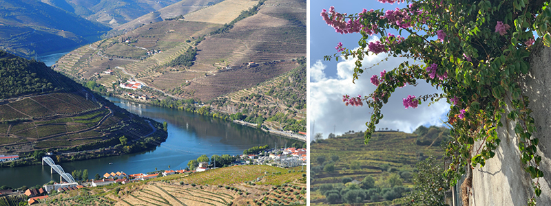 Douro-dalen byder på smukke vandringer